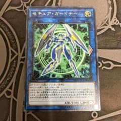 遊戯王 セキュア・ガードナーのサムネイル