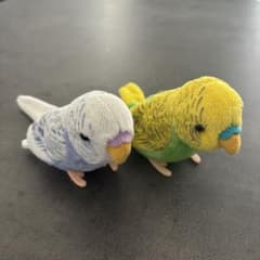 【yo-yo*様専用】セキセイインコ　ぬいぐるみ　2個セットのサムネイル
