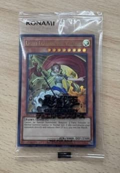遊戯王　日本選手権　プロモ　LIGHT LEADING THE VALIANTのサムネイル