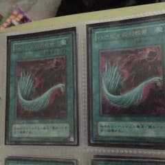 ハーピィの羽箒日本語堀江様専用のサムネイル