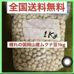 Ma Yabe❣️ 晴れの国岡山産ムクナ豆1kg 晴れの国岡山産ムクナ豆1kg自然農 - メルカリ
