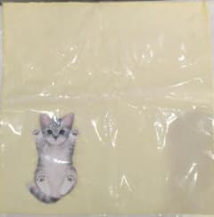 フェリシモ 猫部 子猫がへそ天でごろ〜ん タオルハンカチのサムネイル
