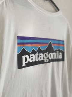 パタゴニア　tシャツのサムネイル