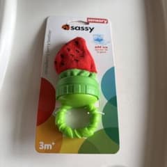 Sassy Strawberry Terry Teether 新品未使用のサムネイル