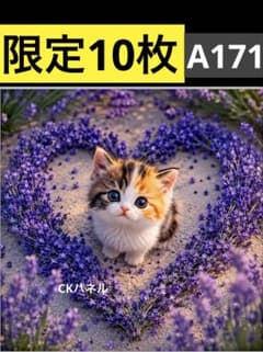 限定10枚！ 猫ちゃん レアパネル生地 無くなり次第終了です - メルカリ