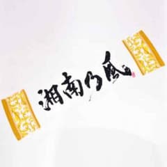未使用 湘南乃風 タオル シダ パズルピース柄のサムネイル
