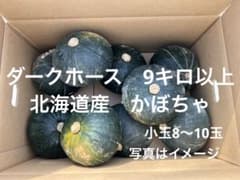 かぼちゃ 箱込み9キロ以上のサムネイル