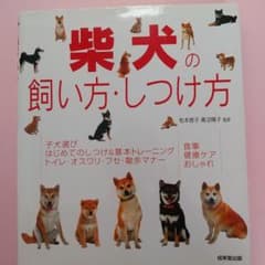 柴犬の飼い方・しつけ方のサムネイル