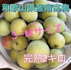 和歌山県産　南高梅　完熟　2キロ　Ｓ~Мサイズ混合のサムネイル