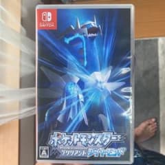 ポケットモンスター ブリリアントダイヤモンドのサムネイル