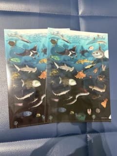 海の生き物のカタチ クリアファイルA5 2枚セットのサムネイル