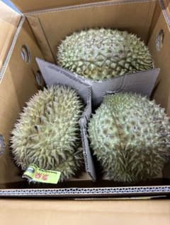 タイ産火山ドリアン 樹熟 大玉1玉 タイ産火山ドリアン 樹熟 大玉1玉【7/10発送 7/9通関】 - メルカリ