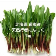 北海道 道東産 天然行者にんにく1㎏ - メルカリ