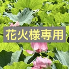 花火様専用のサムネイル