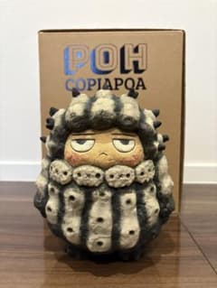 Vin Robin Huang / POH Copiapoa 羅本製所