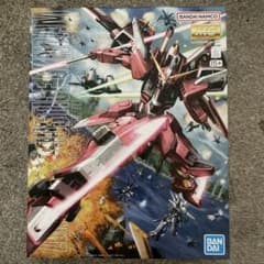 MG 1/100 インフィニットジャスティスガンダム - 3