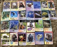 即購入不可　鳥羽水族館 70周年記念 コレクションカード とばすいコレカ