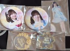 NGT48☆藤崎未夢☆アクリルスタンド☆2026年3月ver. シアターくじ NGT48藤崎未夢アクリルスタンド2026年スプリングコンサート2体 - メルカリ
