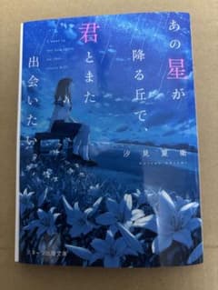 あの星が降る丘で、君とまた出会いたい。 汐見夏衛 スターツ出版文庫