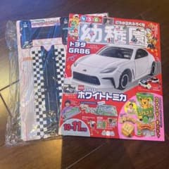 幼稚園 10・11月号 トミカ以外の付録あり - メルカリ