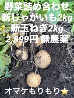 特価！野菜セット4kg ⑦新じゃが 新玉ねぎ他 無農薬 - メルカリ