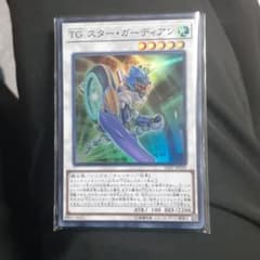 遊戯王 ＴＧ スター・ガーディアンのサムネイル