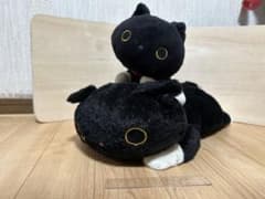 양말 냥코 봉제 인형 세트 고양이