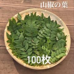 山椒の葉　アゲハ蝶　無農薬　100枚以上のサムネイル