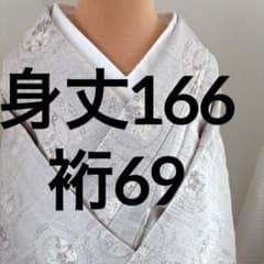 トールサイズ 紬 単衣 着物 グレー 丸文様 淡いパープルグレー 藤色