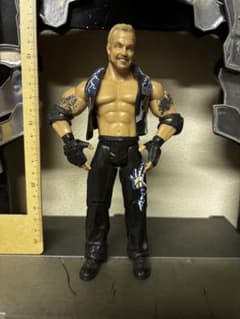 WWE DDP Diamond Dallas Page has loose joints.