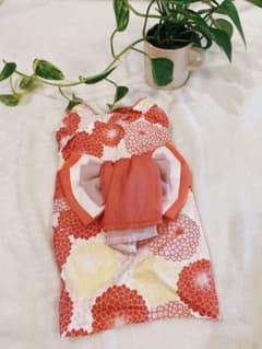 【たまご様専用】ワンちゃん用浴衣2着のサムネイル