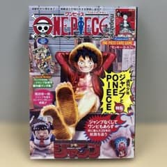 少年ジャンプ ワンピースマガジン Vol.20 付録カード無し - メルカリ