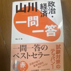 山川 経済 一問一答のサムネイル
