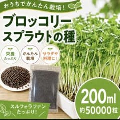 ブロッコリースプラウト専用種子　200ml ネコポス配送　高発芽率種子のサムネイル