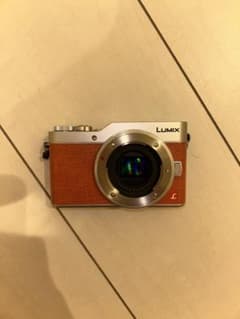 Panasonic LUMIX 미러리스 일안 본체