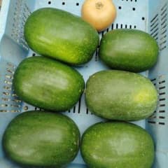 冬瓜 無農薬6個 10㌔、菊芋300㌘、かぼちゃ1個 おまけ付きのサムネイル