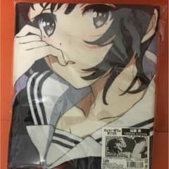 加藤恵 ビッグタオル(新品未開封)のサムネイル