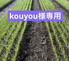ネオアース　500本のサムネイル