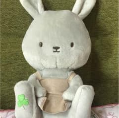 植物図鑑 ぬいぐるみのサムネイル