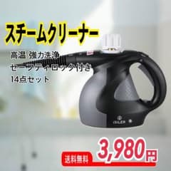 ⭐️ セール中 ⭐️スチームクリーナー 新品 未使用のサムネイル