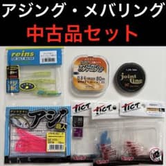 アジングセット メバリング ワーム リーダー エコギア ティクト