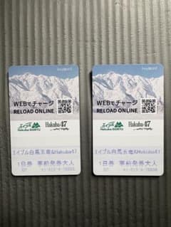 Hakuba47 & エイブル白馬五竜 1日券 2枚セット - メルカリ