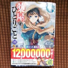 薬屋のひとりごと 小説 10巻のサムネイル