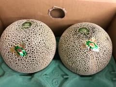 北海道 ようてい   メロン 赤肉 ２玉入のサムネイル