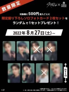 スキズ フリュー トレカ セットのサムネイル