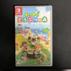 あつまれ どうぶつの森 Nintendo Switchのサムネイル
