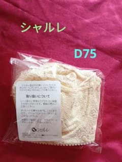 シャルレブラジャーFA131 D75 クリームイエロー　　新品未使用のサムネイル
