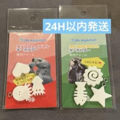 鳥羽水族館 ラッコ メイちゃん キラちゃん専用チャーム 2種セット