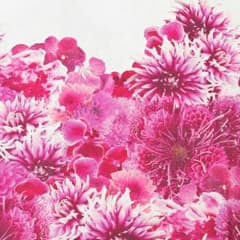SANAE様のサムネイル