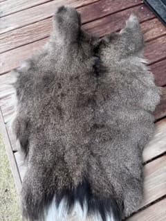 ニホンシカ　毛皮　天然ラグマットのサムネイル